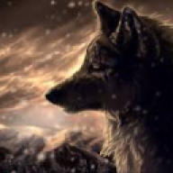 LoneWolf02